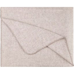 Steiner 1888 Coperta Alina