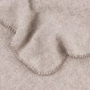 Steiner 1888 Coperta Alina