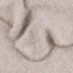 Steiner 1888 Coperta Alina