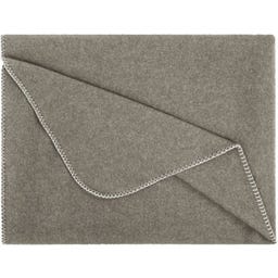 Steiner 1888 Coperta Alina