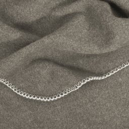 Steiner 1888 Coperta Alina