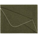 Steiner 1888 Coperta Alina