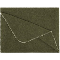 Steiner 1888 Coperta Alina