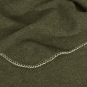 Steiner 1888 Coperta Alina