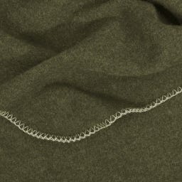 Steiner 1888 Coperta Alina