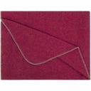 Steiner 1888 Coperta Alina