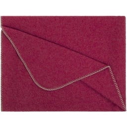 Steiner 1888 Coperta Alina