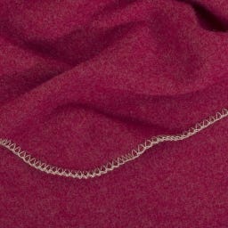 Steiner 1888 Coperta Alina