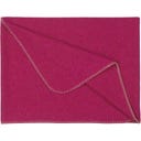 Steiner 1888 Coperta Alina
