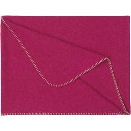 Steiner 1888 Coperta Alina