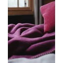 Steiner 1888 Coperta Alina