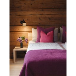 Steiner 1888 Coperta Alina