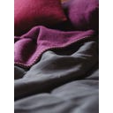 Steiner 1888 Coperta Alina