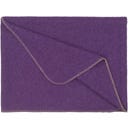 Steiner 1888 Coperta Alina