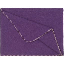 Steiner 1888 Coperta Alina