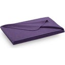 Steiner 1888 Decke Sophia