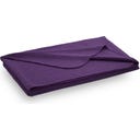Steiner 1888 Decke Sophia