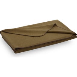 Steiner 1888 Decke Sophia