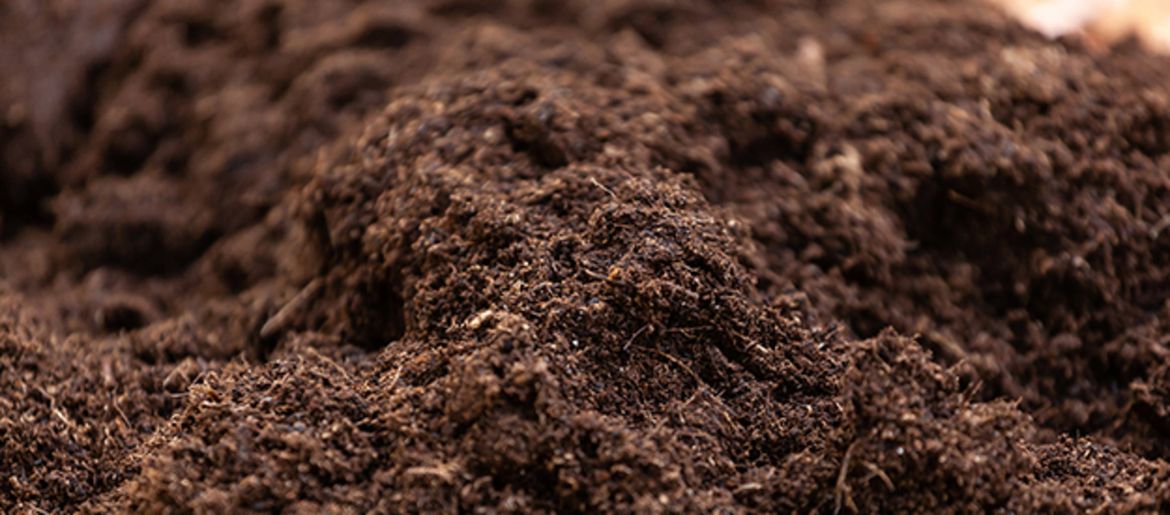 DIY Worm Composting 