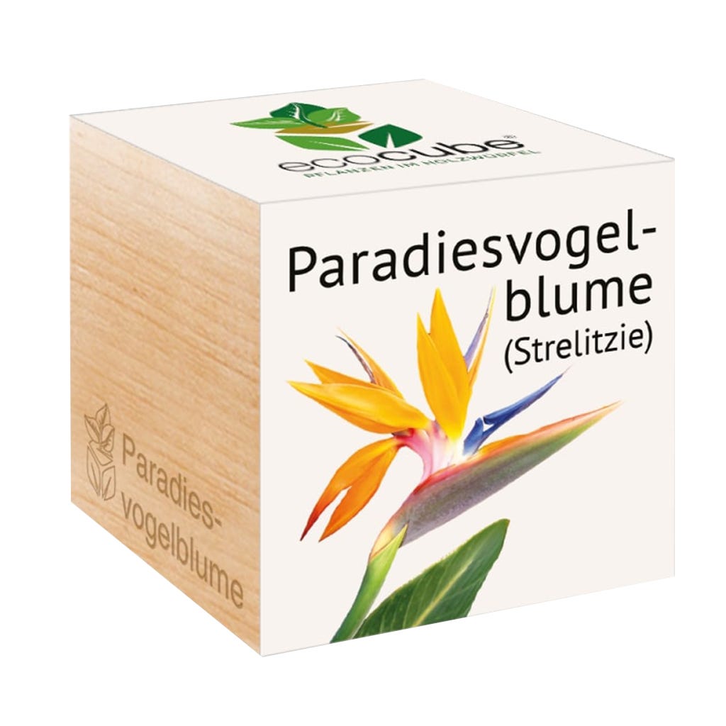 Feel Green ecocube "Paradiesvogelblume" - Bloomling Deutschland