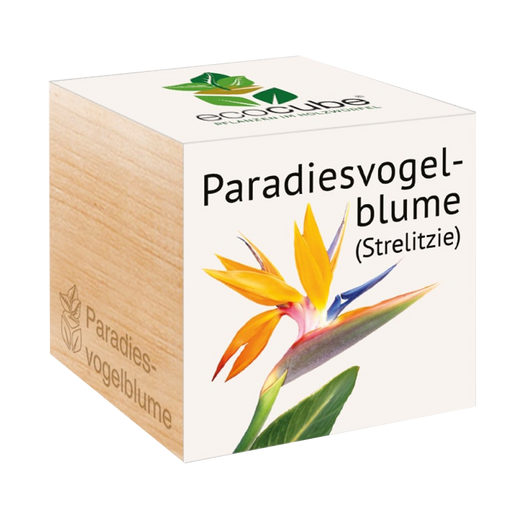 Feel Green ecocube "Paradiesvogelblume" - 1 Stk.