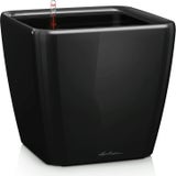 Lechuza Quadro Premium LS 28 Planter