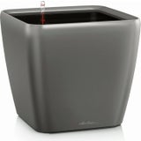 Lechuza Vaso - QUADRO Premium LS 21