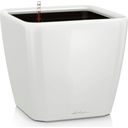 QUADRO Premium LS 21 Planter, White - High Gloss