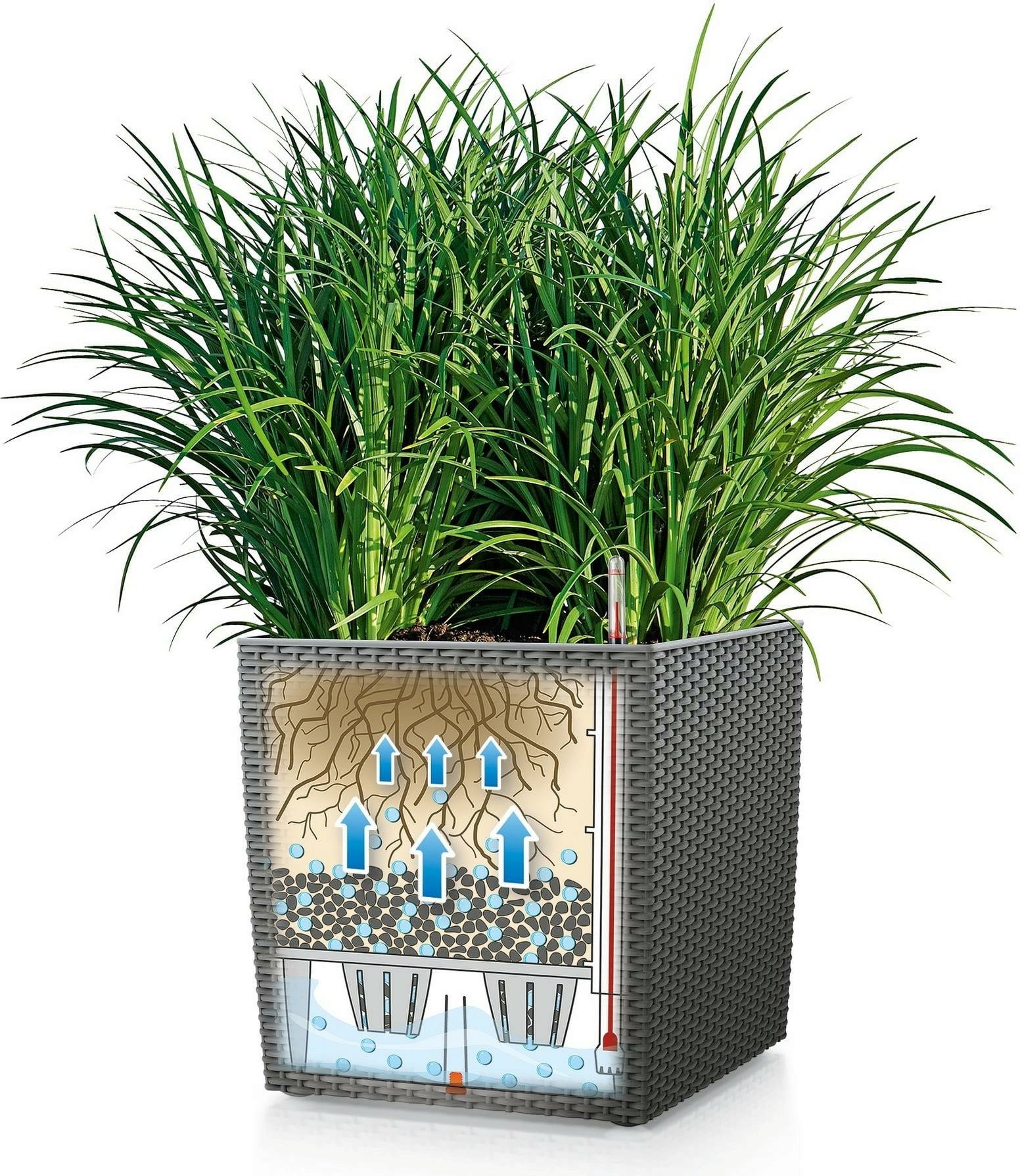 Lechuza CUBE Cottage 40 Självvattnande Kruka 