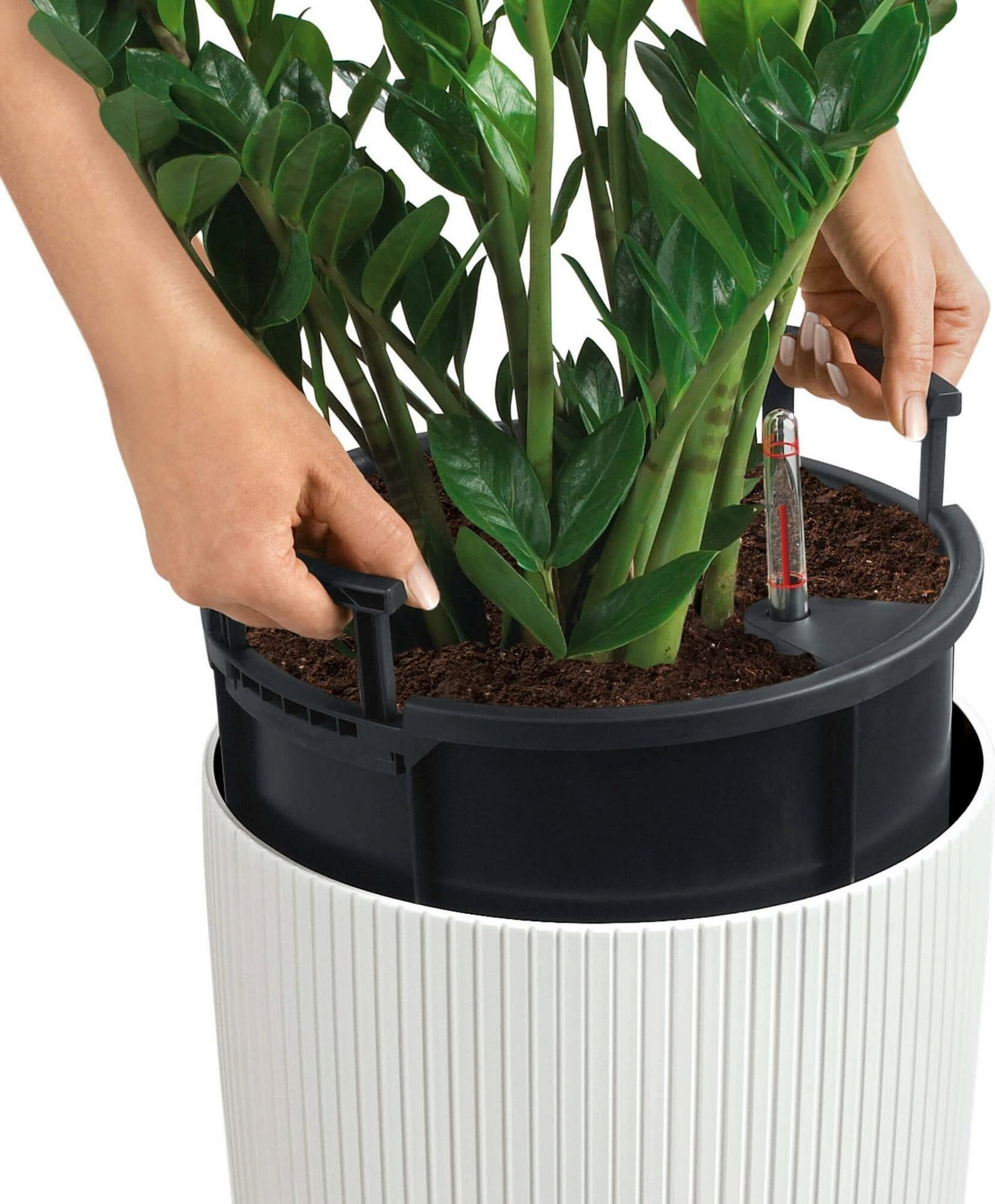 Lechuza Jardinière CILINDRO Color 23