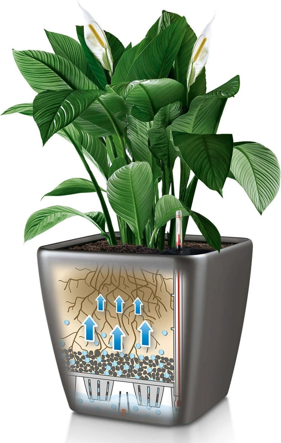 Lechuza QUADRO Premium LS 43 Planter