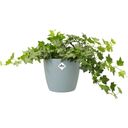 elho Brussels Round Pot - 18 cm - Mint