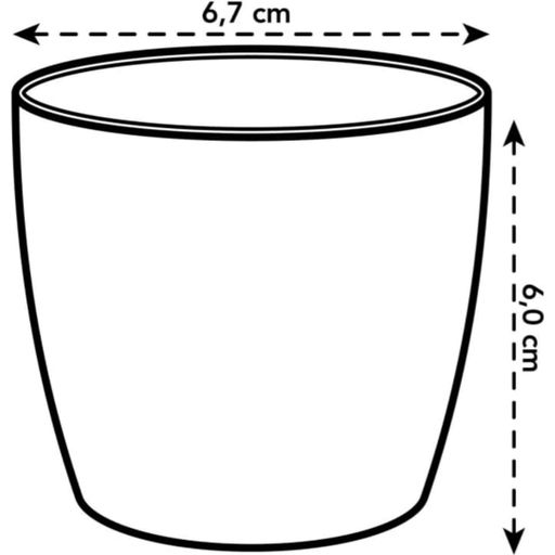 elho Brussels Round Mini Pot - 7 cm