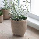 Garden Trading Positano Flowerpot - Stone - Large