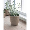 Garden Trading Positano Flowerpot - Stone - Large