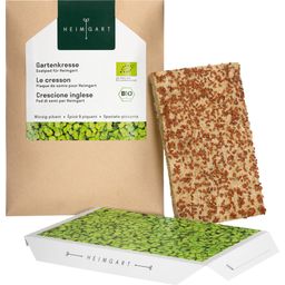 Microgreens vrtna kreša semenska blazinica