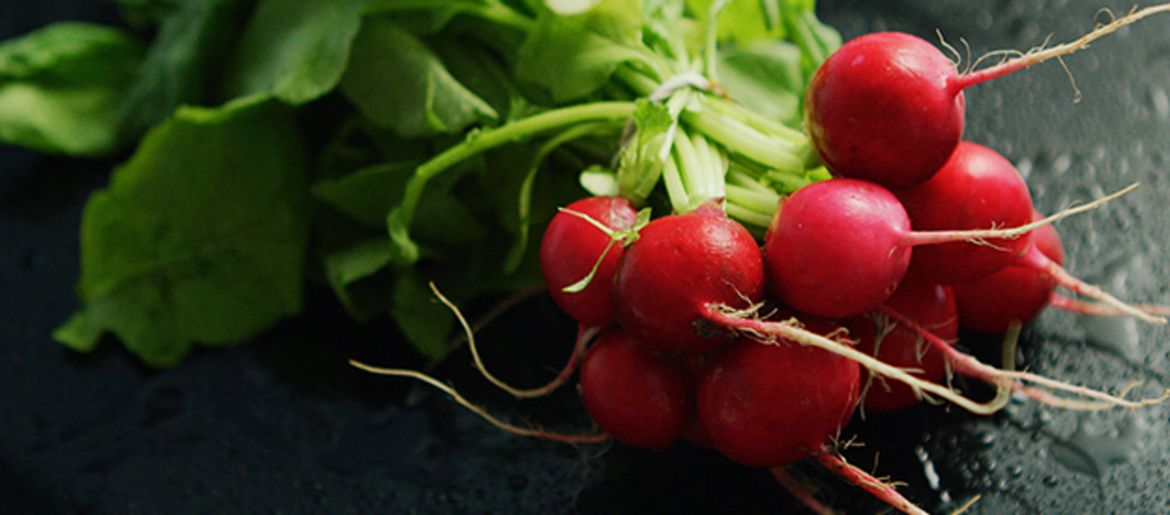 Growing winter vegetables in a raised bed