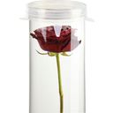 Esschert Design Vasen-Deckel - 1 Stk.