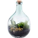 Esschert Design Bouteille pour Terrarium - 5 litres