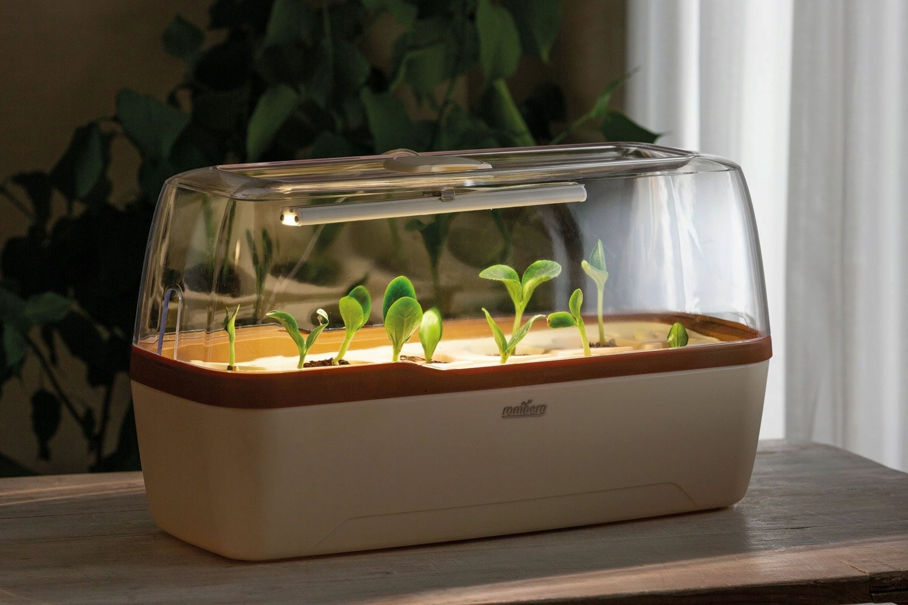 Växthus & Planteringslåda BoQube L PLUS LED - Creme-Kopparbrun - 1 st.