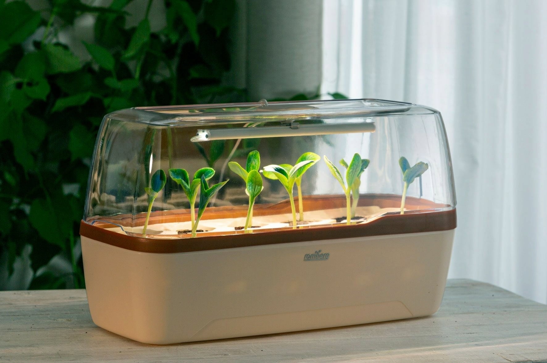 Växthus & Planteringslåda BoQube L PLUS LED - Creme-Kopparbrun - 1 st.