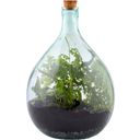 Esschert Design Plant Terrarium Soil - 1 item