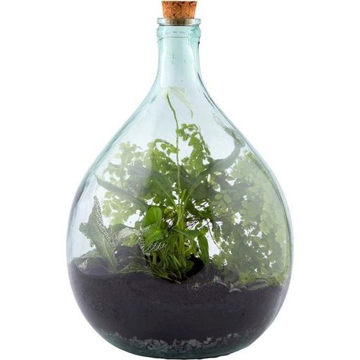Esschert Design Plant Terrarium Soil - 1 item