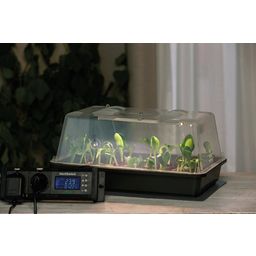 LED Set para Mini Invernadero - Climatic M - 1 set