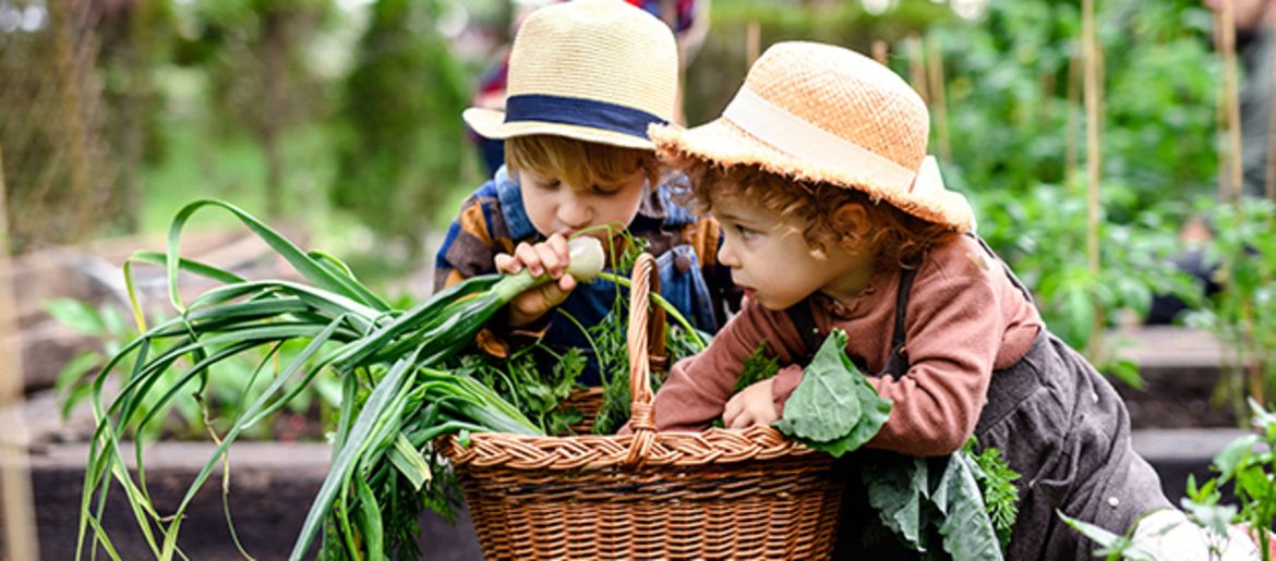 Tipps für Garten-Anfänger