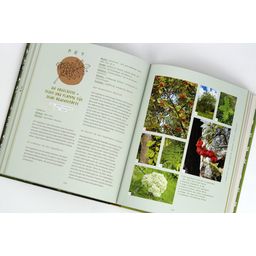 Löwenzahn Verlag Začuti gozd (V NEMŠČINI) - 1 k.