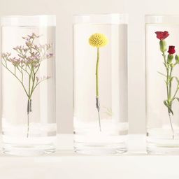 Esschert Design Unterwasser-Blumenvase