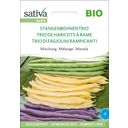 Sativa Trio di Fagiolini Rampicanti Bio - 1 conf.