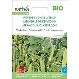 Sativa Organic Miracle of Kelvedon Peas - 1 Pkg