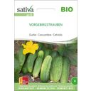 Sativa Cetriolo Bio - Vorgebirgstrauben - 1 conf.